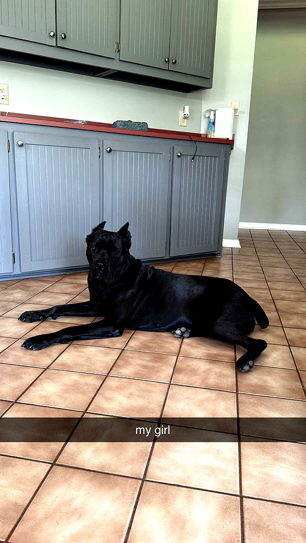 mckinley_1 image ~ Altpins