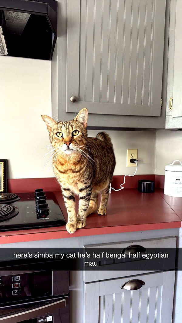 mckinley_1 image ~ Altpins