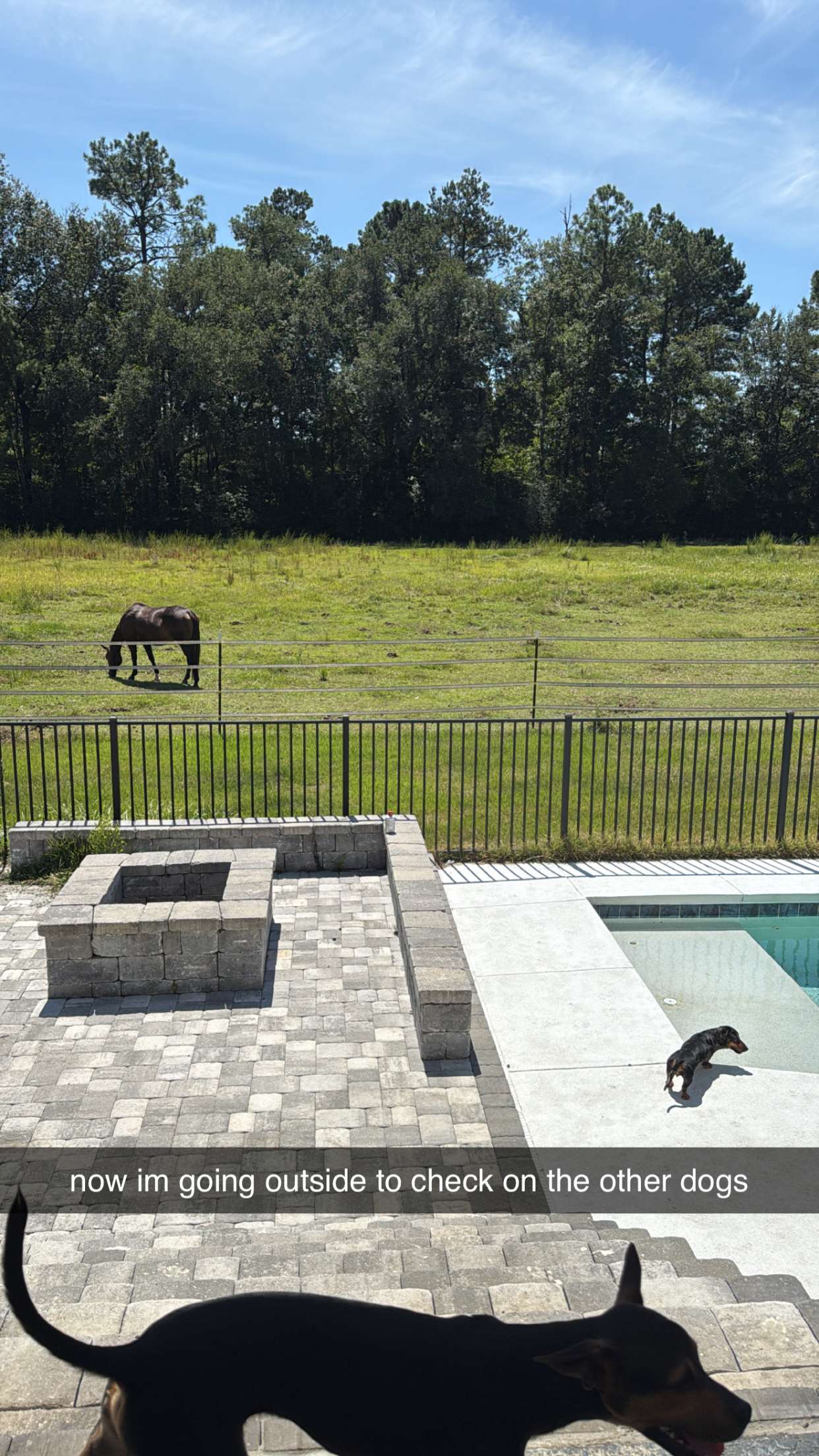 mckinley_1 snapchat image archive image