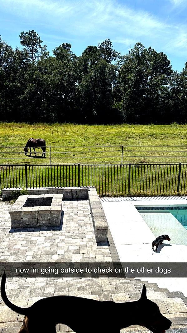 mckinley_1 image ~ Altpins