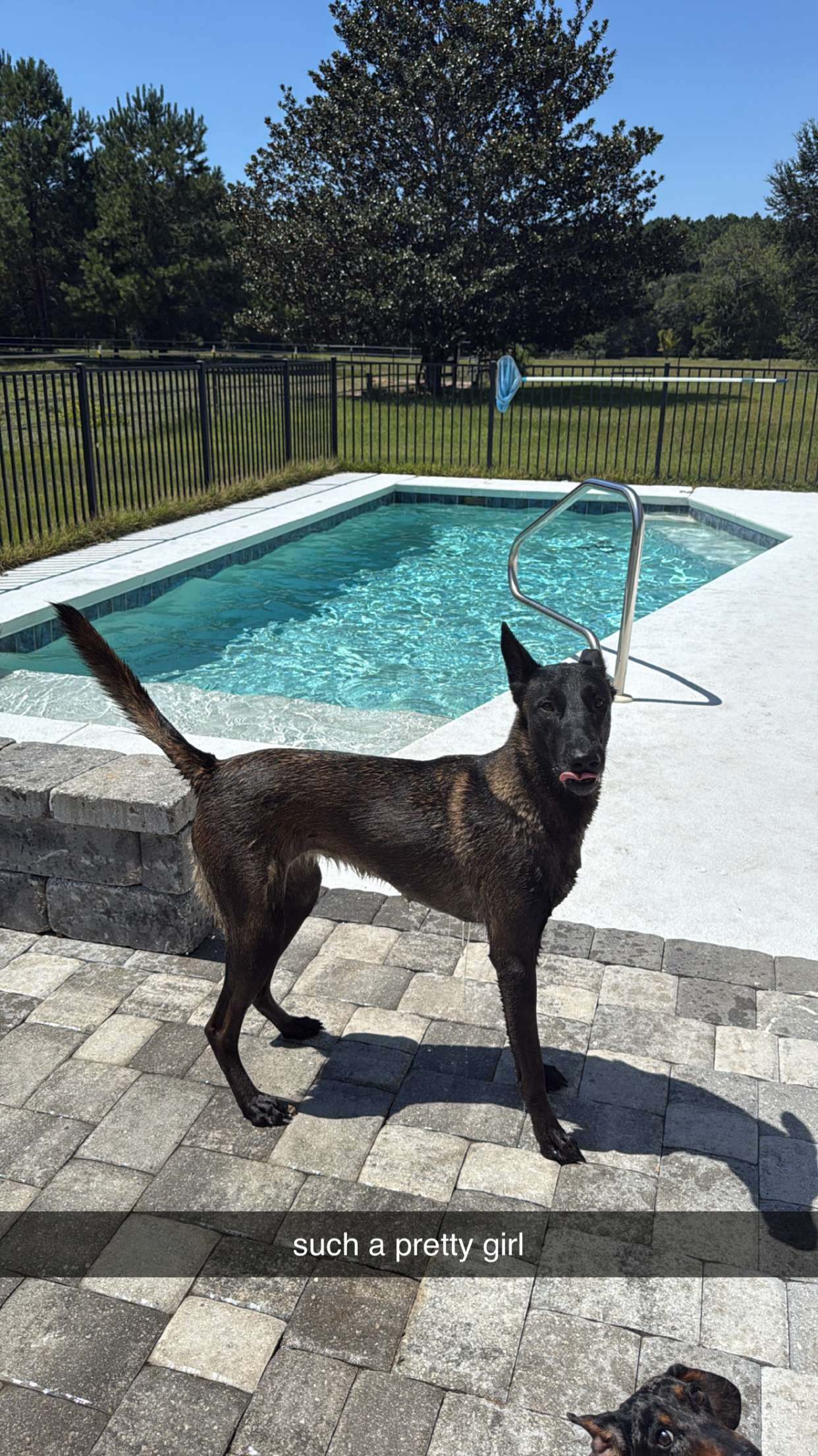 mckinley_1 snapchat image archive image