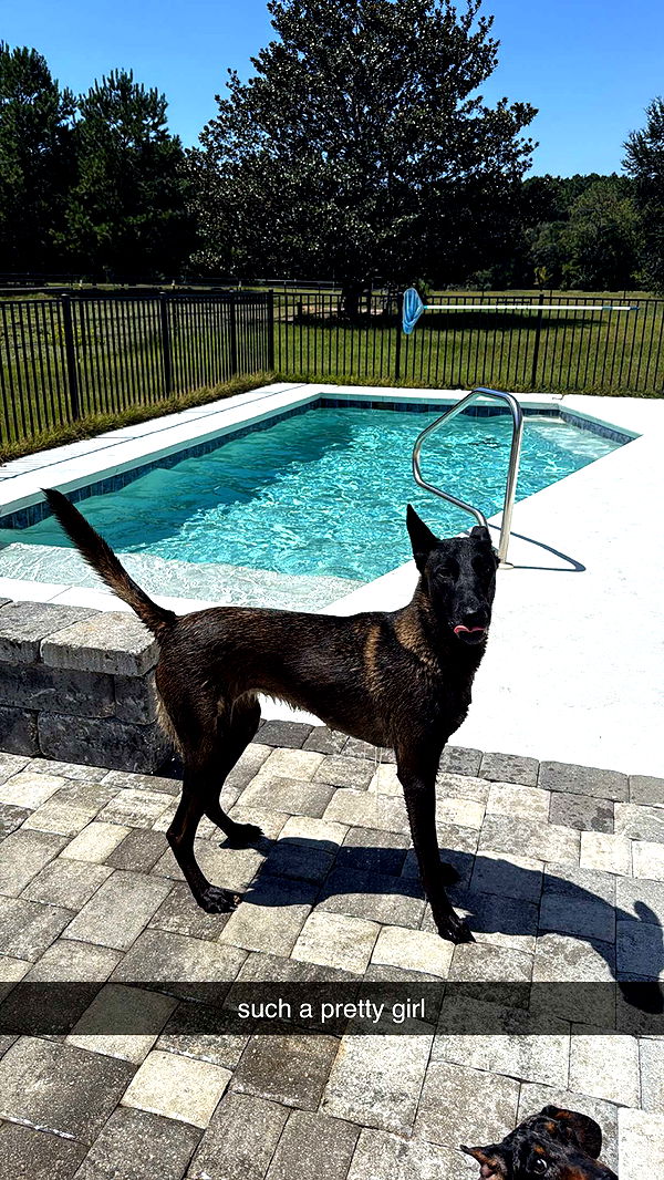 mckinley_1 image ~ Altpins