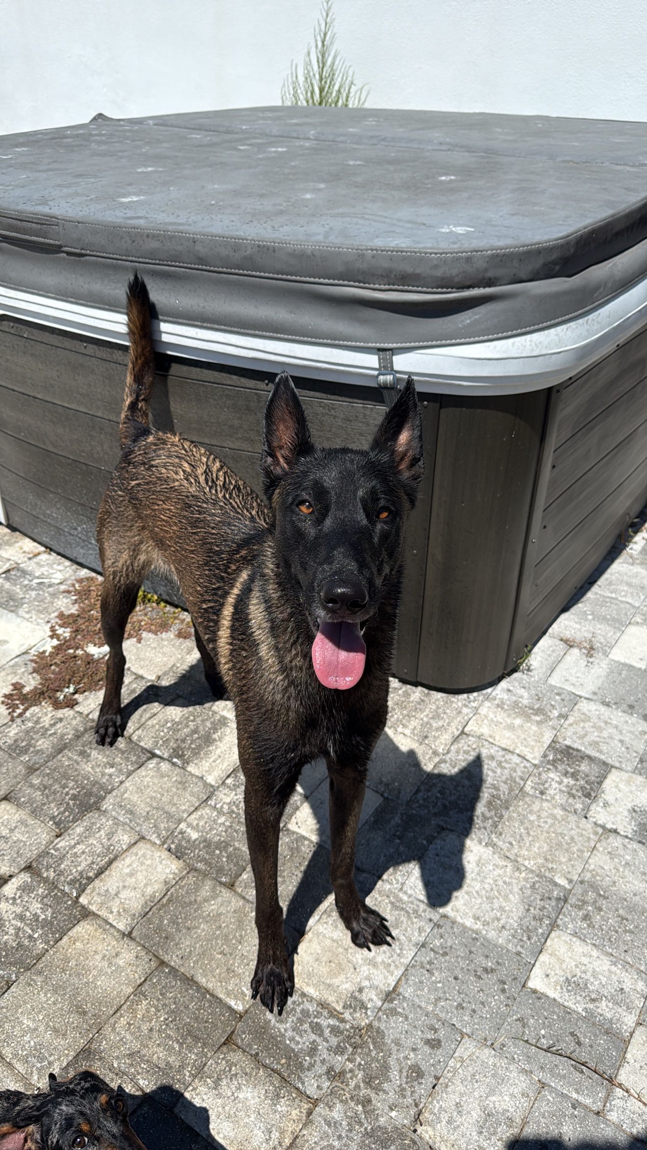 mckinley_1 snapchat image archive image