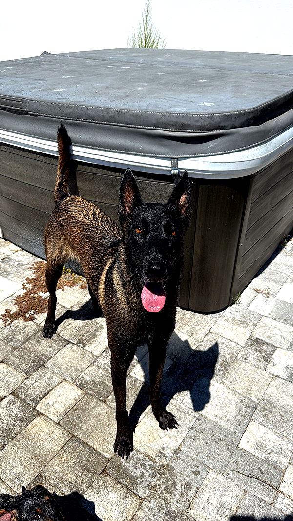 mckinley_1 image ~ Altpins