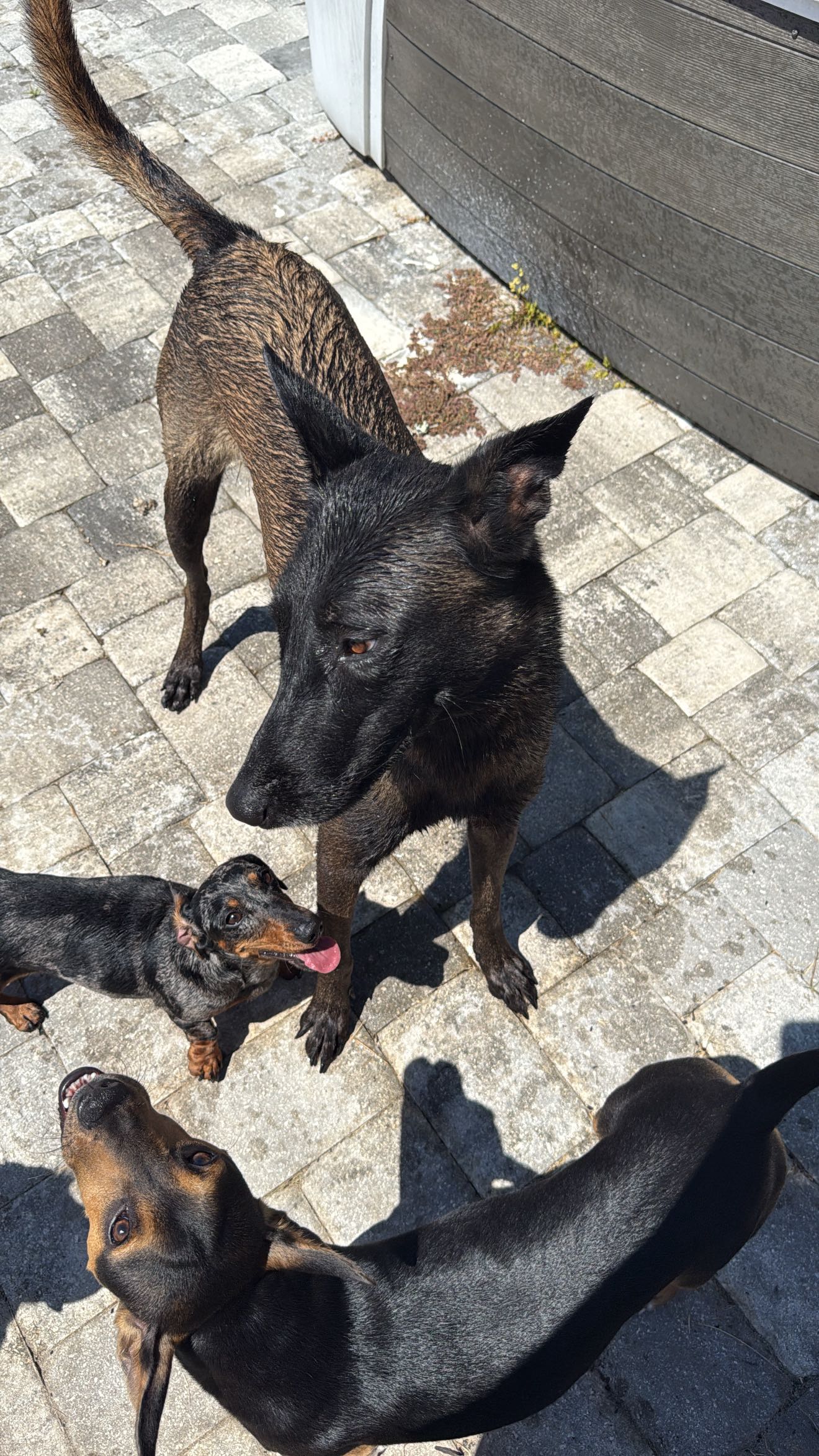 mckinley_1 snapchat image archive image