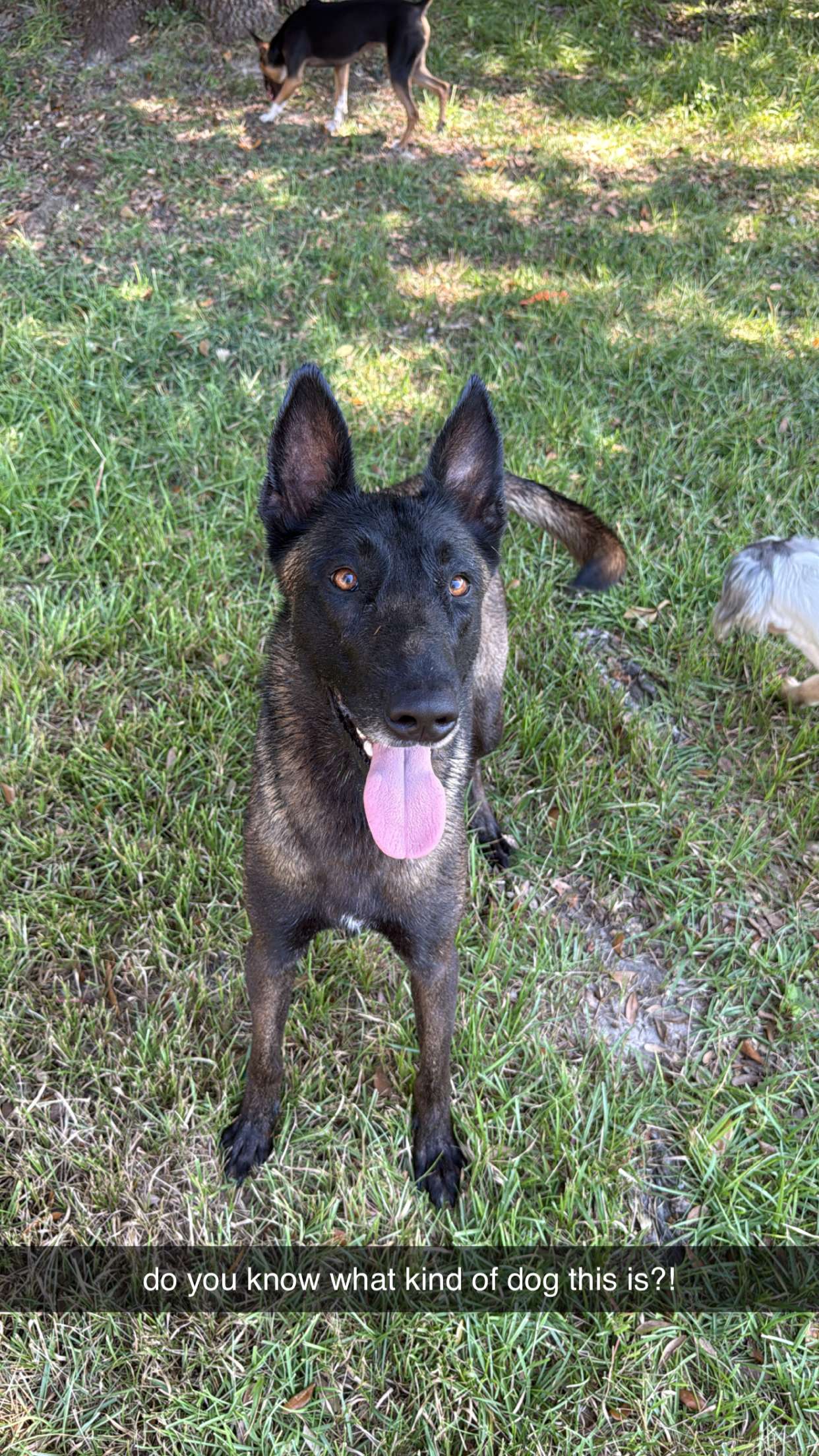 mckinley_1 snapchat image archive image