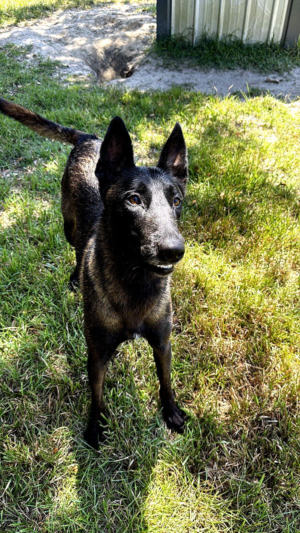 mckinley_1 image ~ Altpins