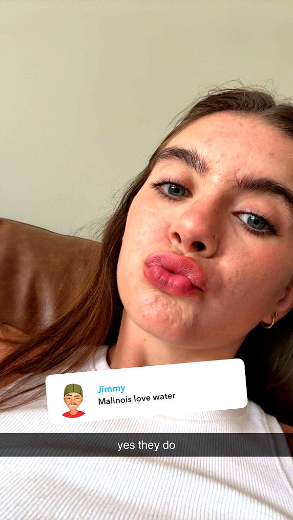 mckinley_1 image ~ Altpins