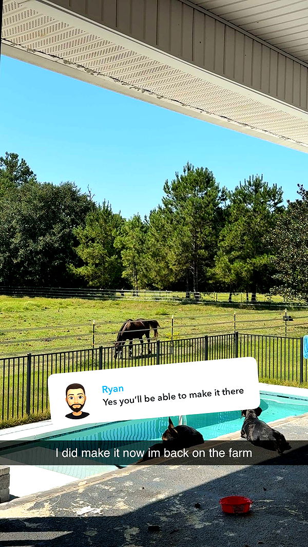 mckinley_1 image ~ Altpins