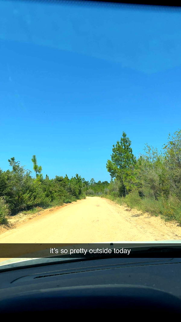 mckinley_1 image ~ Altpins