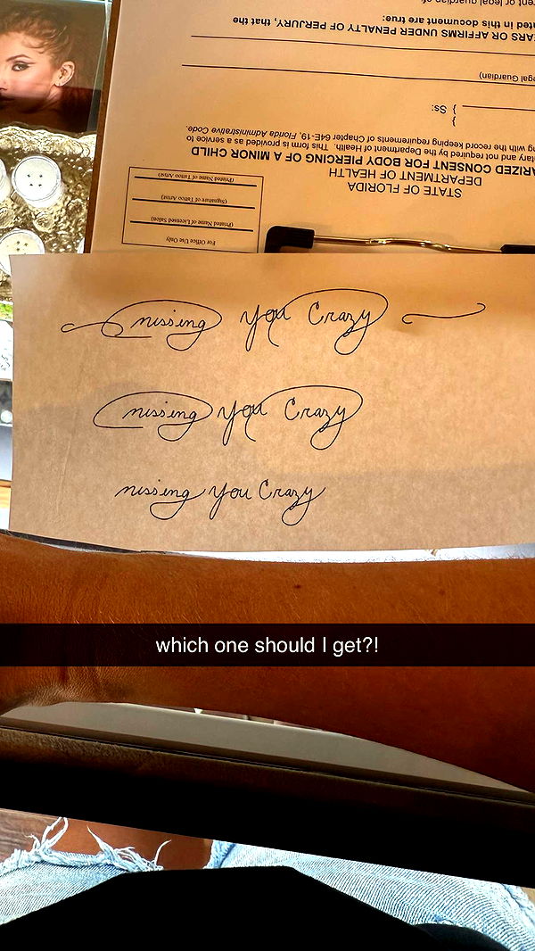 mckinley_1 image ~ Altpins