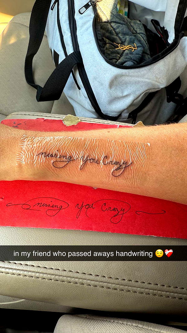 mckinley_1 image ~ Altpins