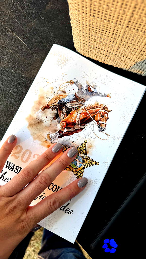 mckinley_1 image ~ Altpins