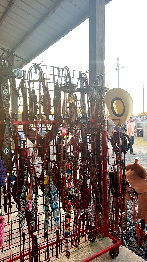 mckinley_1 image ~ Altpins