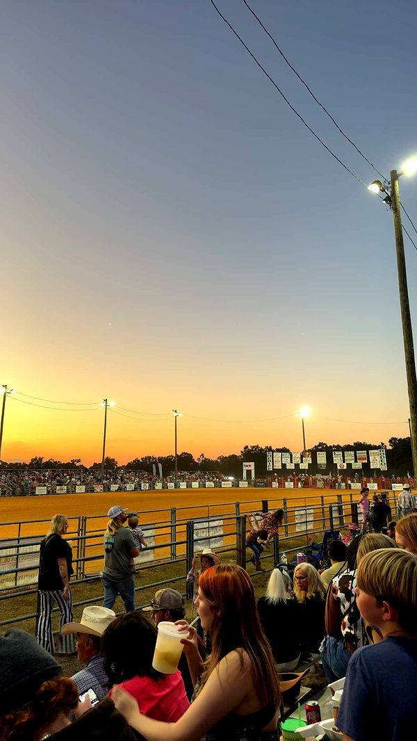 mckinley_1 image ~ Altpins