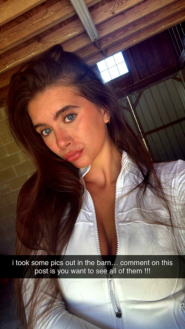 mckinley_1 image ~ Altpins