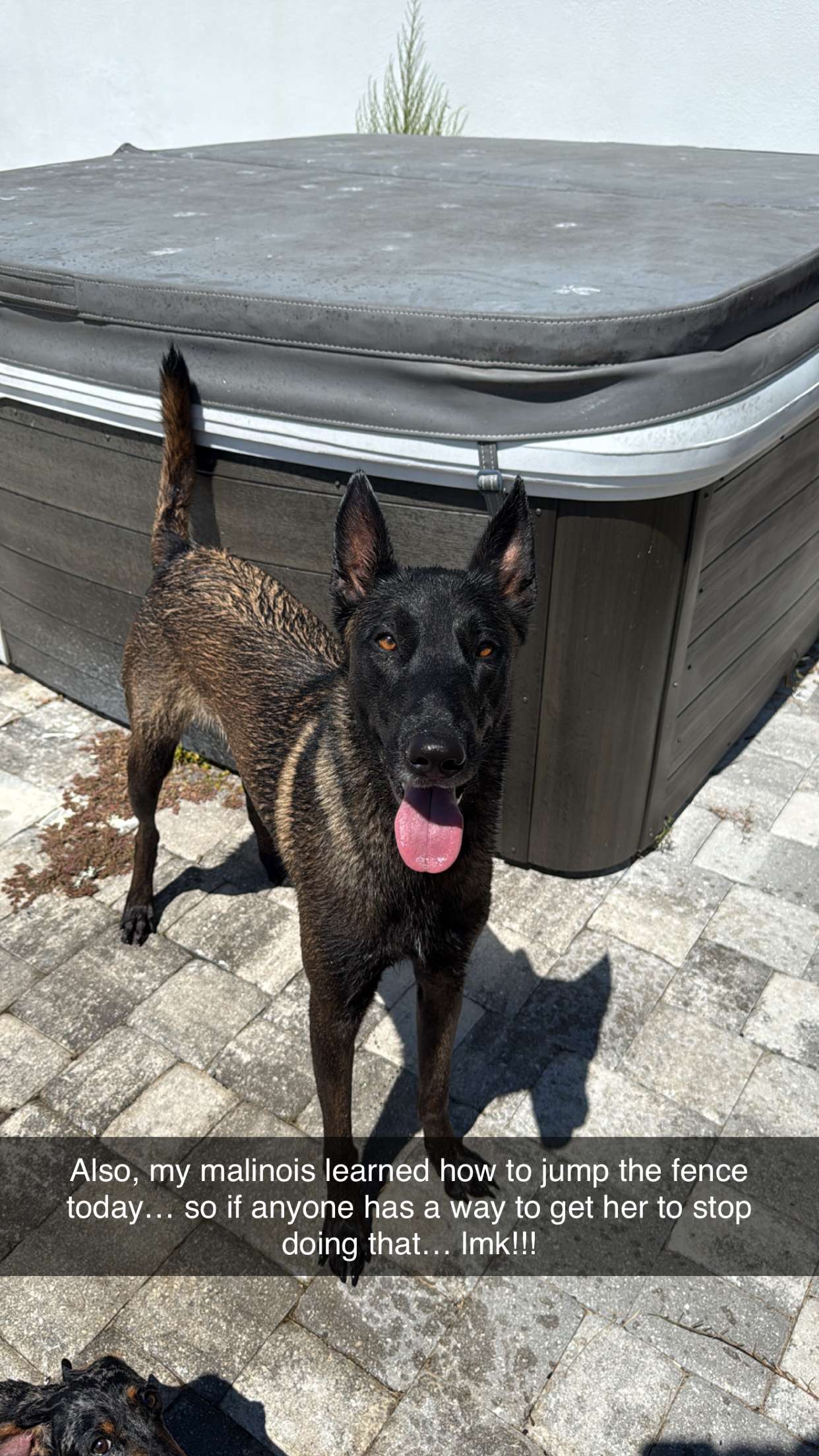 mckinley_1 snapchat image archive image