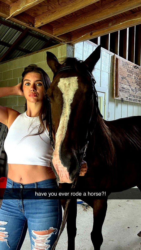 mckinley_1 image ~ Altpins