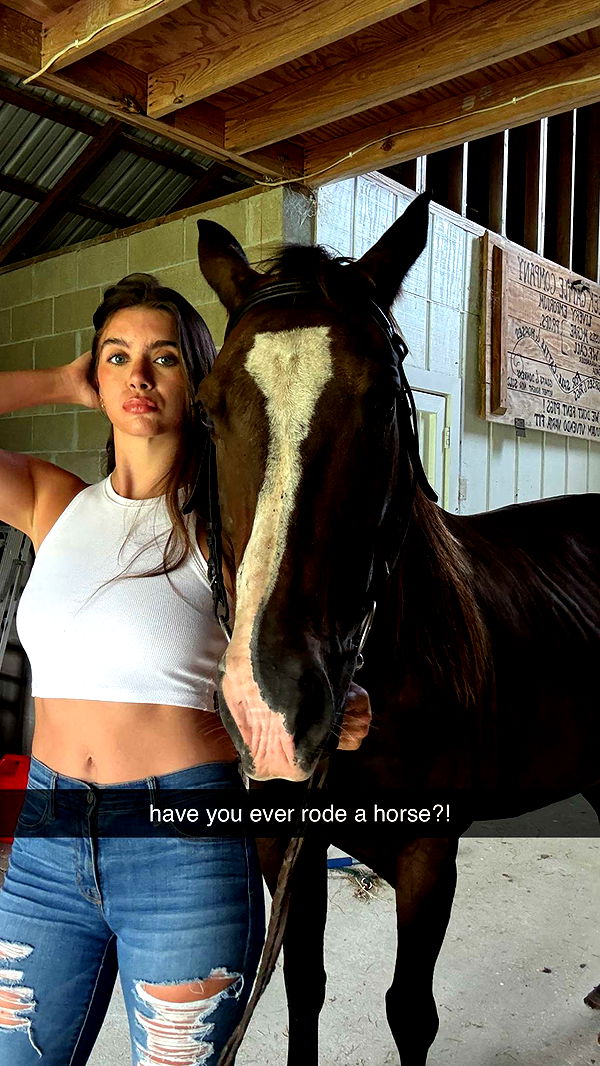 mckinley_1 image ~ Altpins