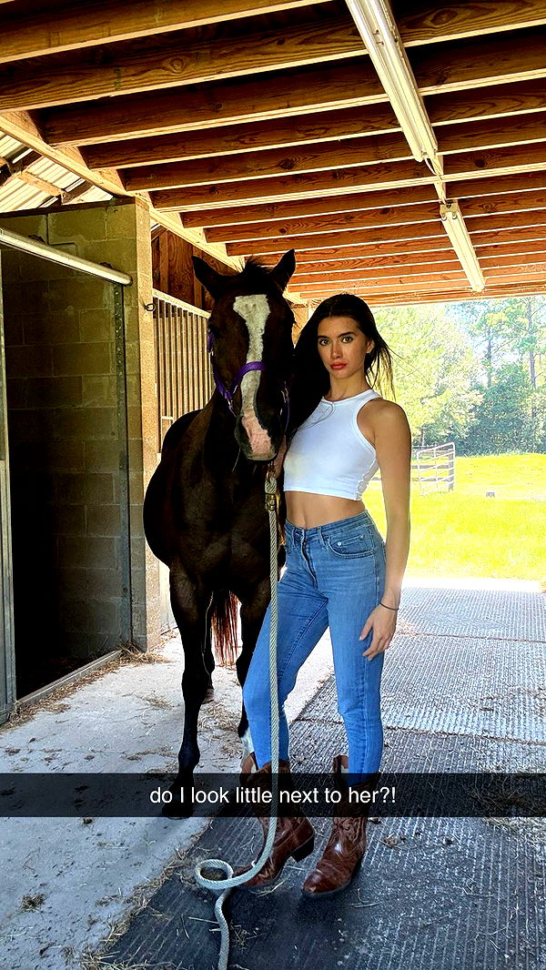 mckinley_1 image ~ Altpins