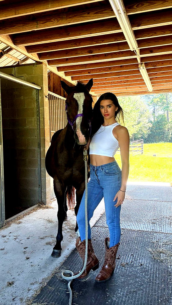 mckinley_1 image ~ Altpins