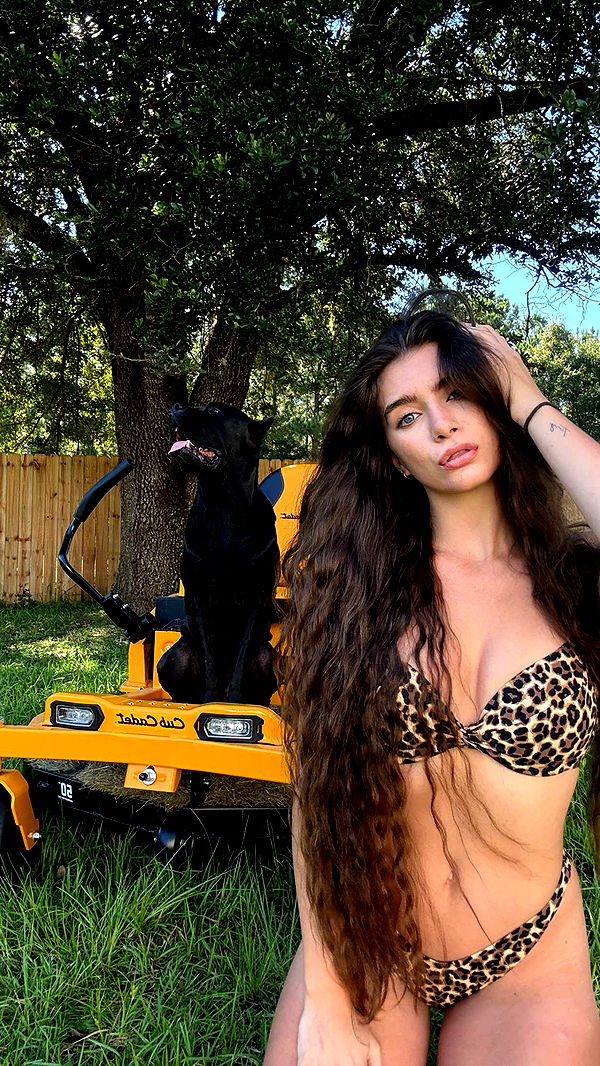 mckinley_1 image ~ Altpins