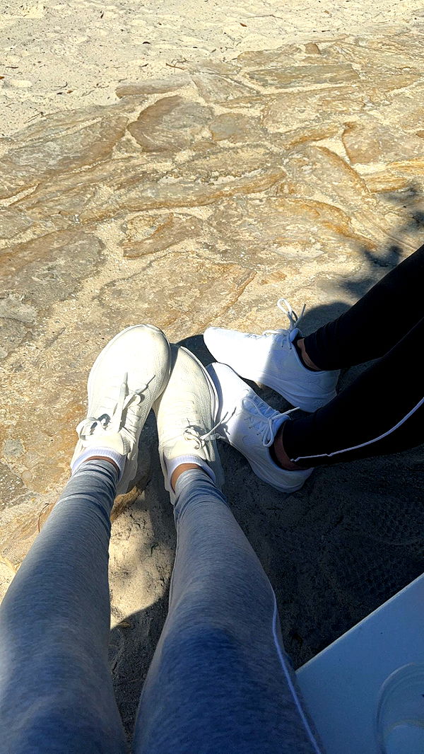 mckinley_1 image ~ Altpins