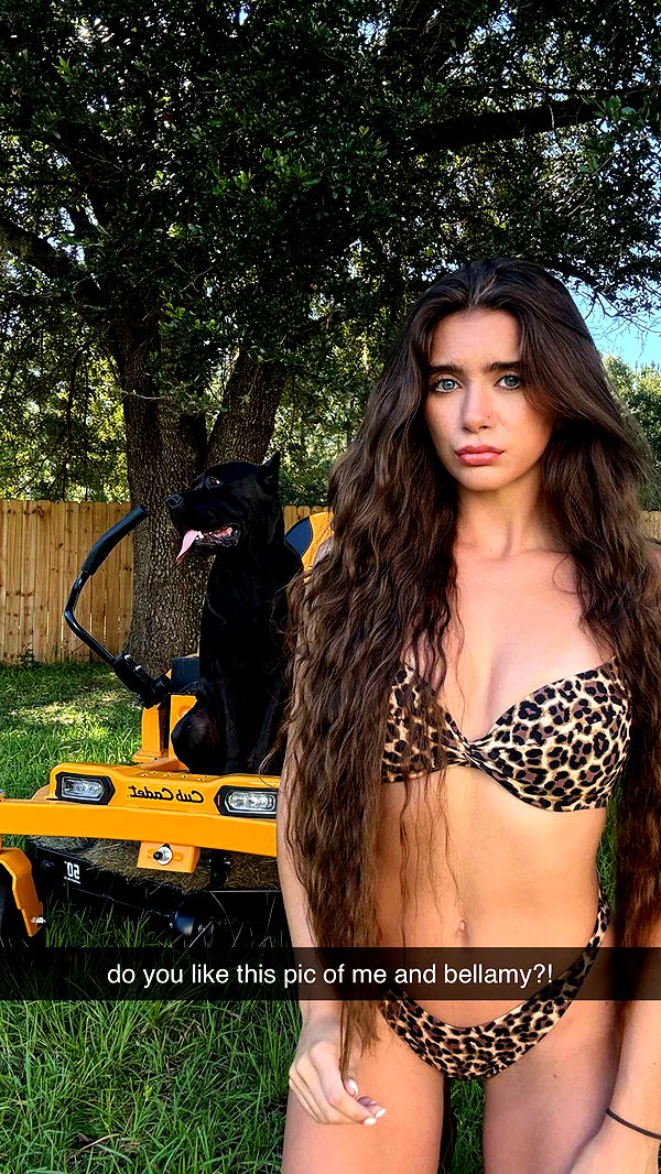 mckinley_1 image ~ Altpins