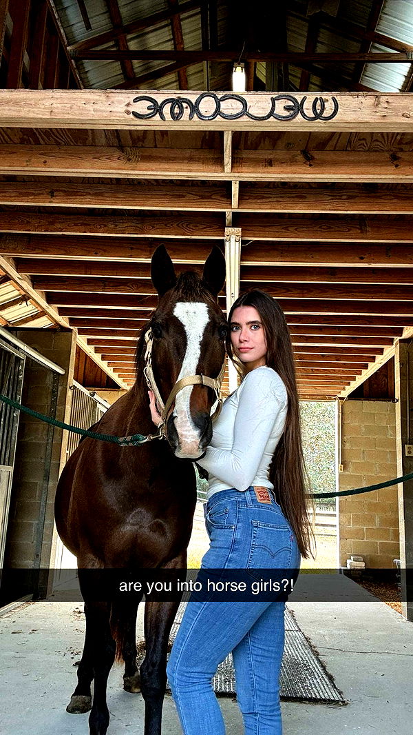 mckinley_1 image ~ Altpins