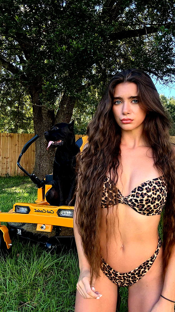 mckinley_1 image ~ Altpins