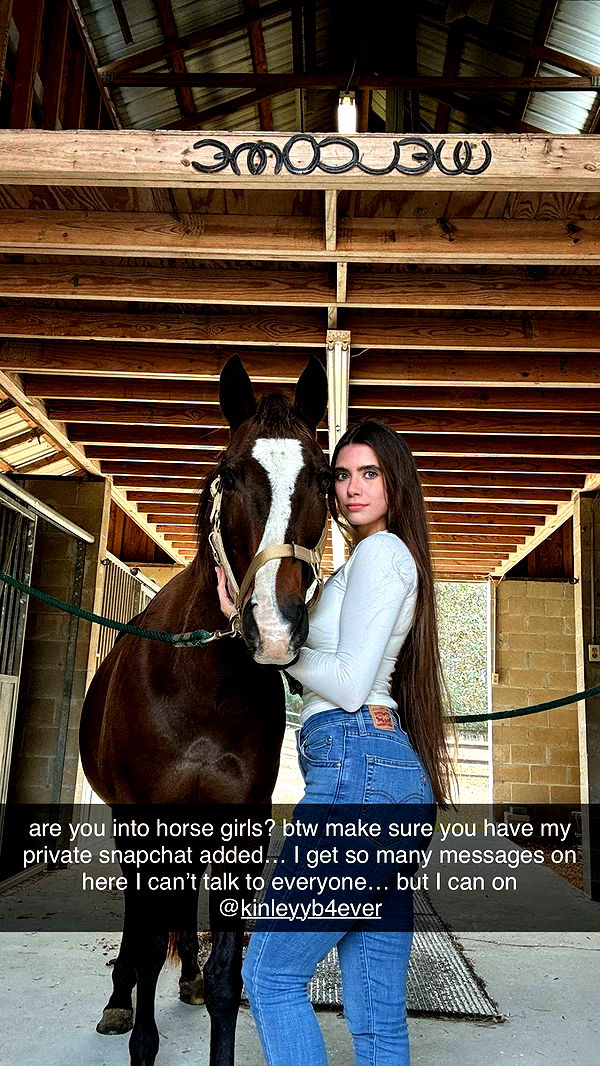 mckinley_1 image ~ Altpins