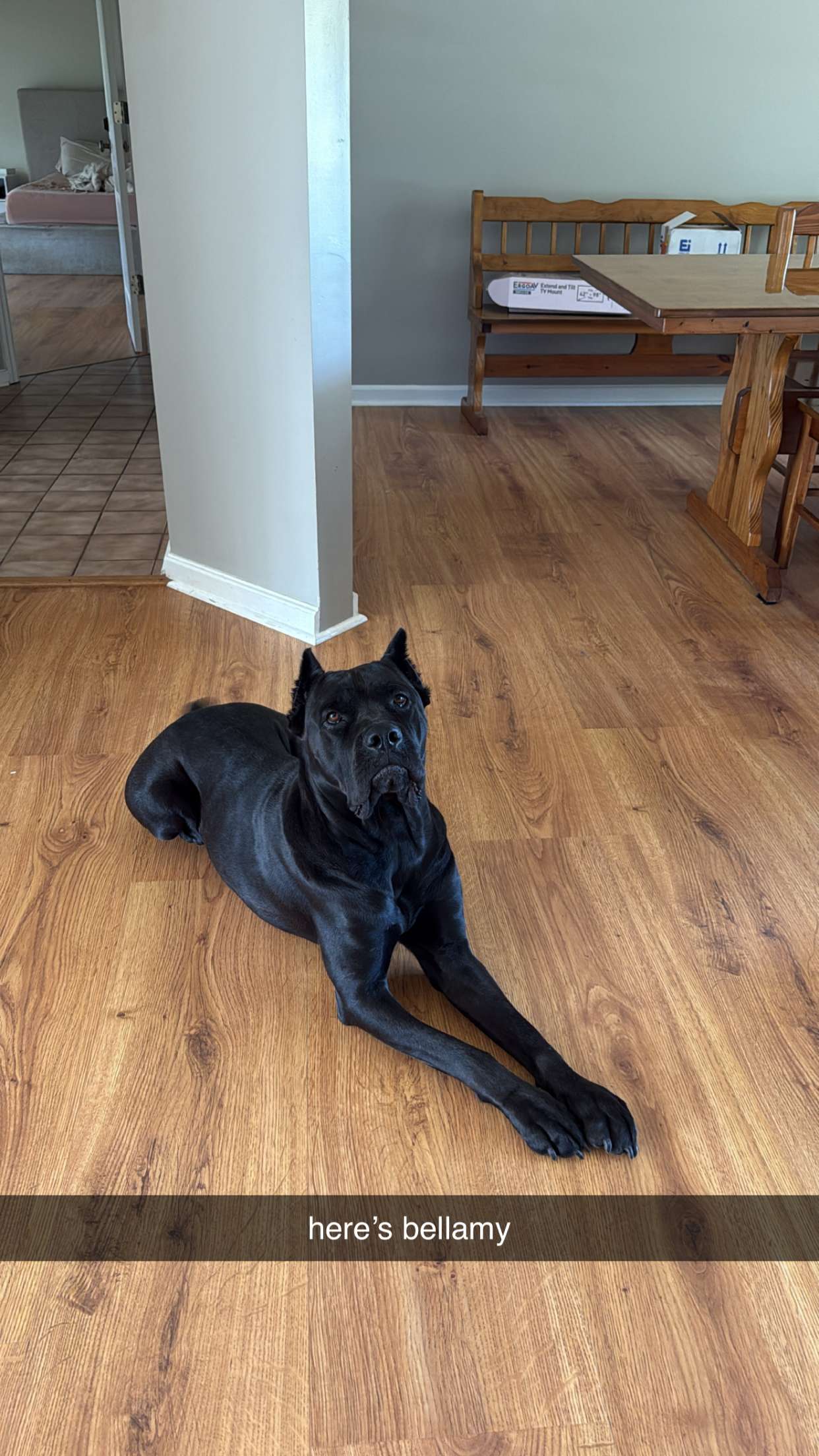 mckinley_1 snapchat image archive image