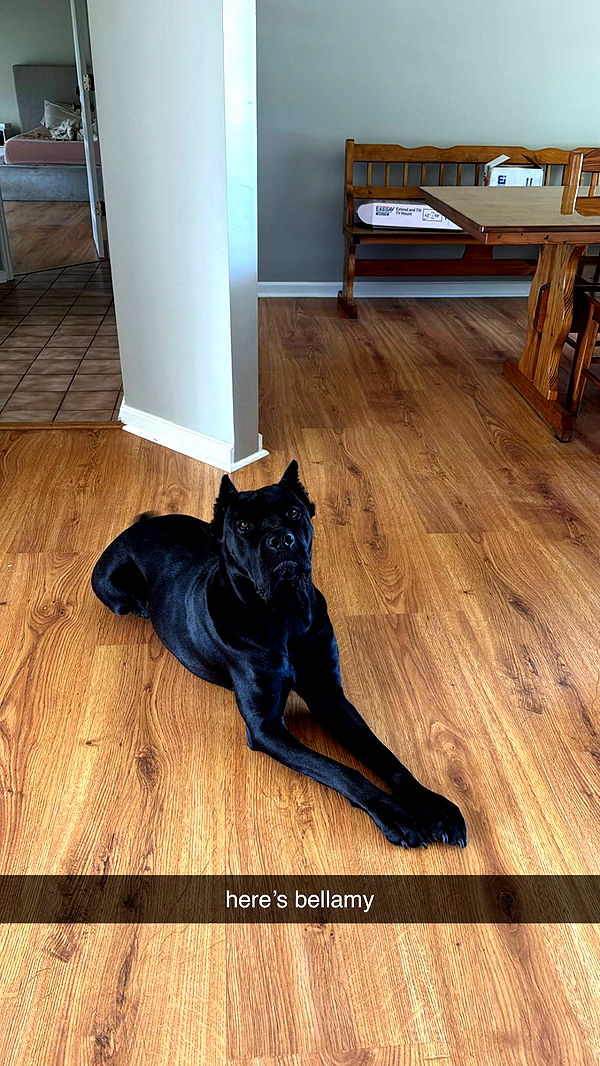 mckinley_1 image ~ Altpins