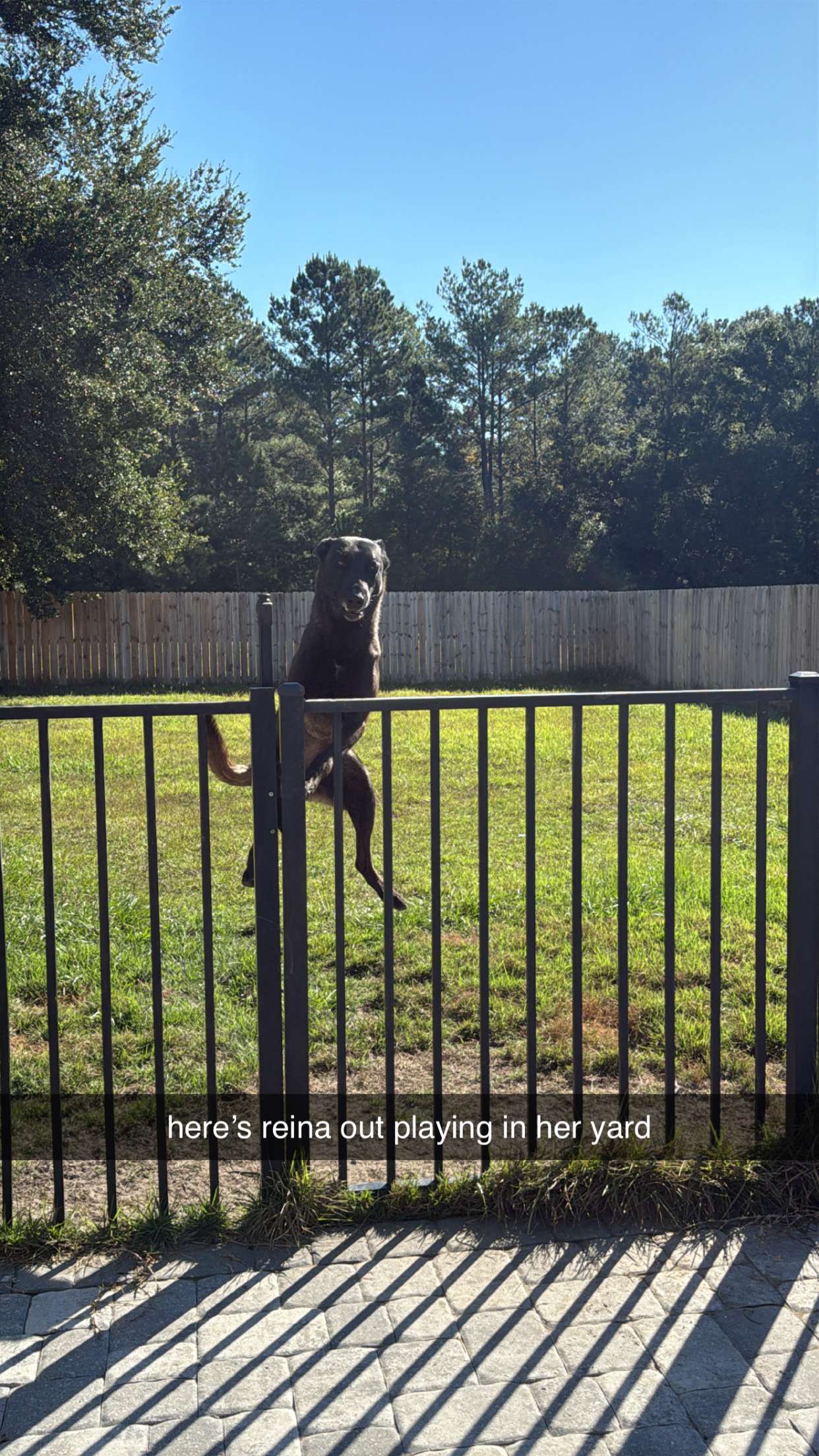 mckinley_1 snapchat image archive image