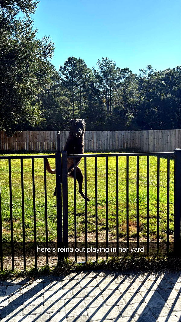 mckinley_1 image ~ Altpins