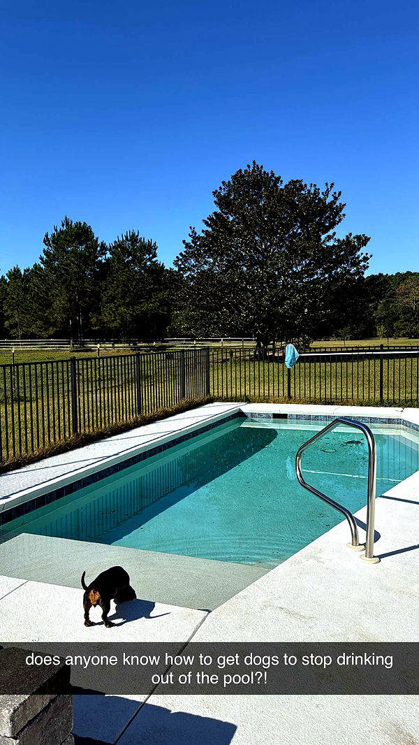 mckinley_1 image ~ Altpins