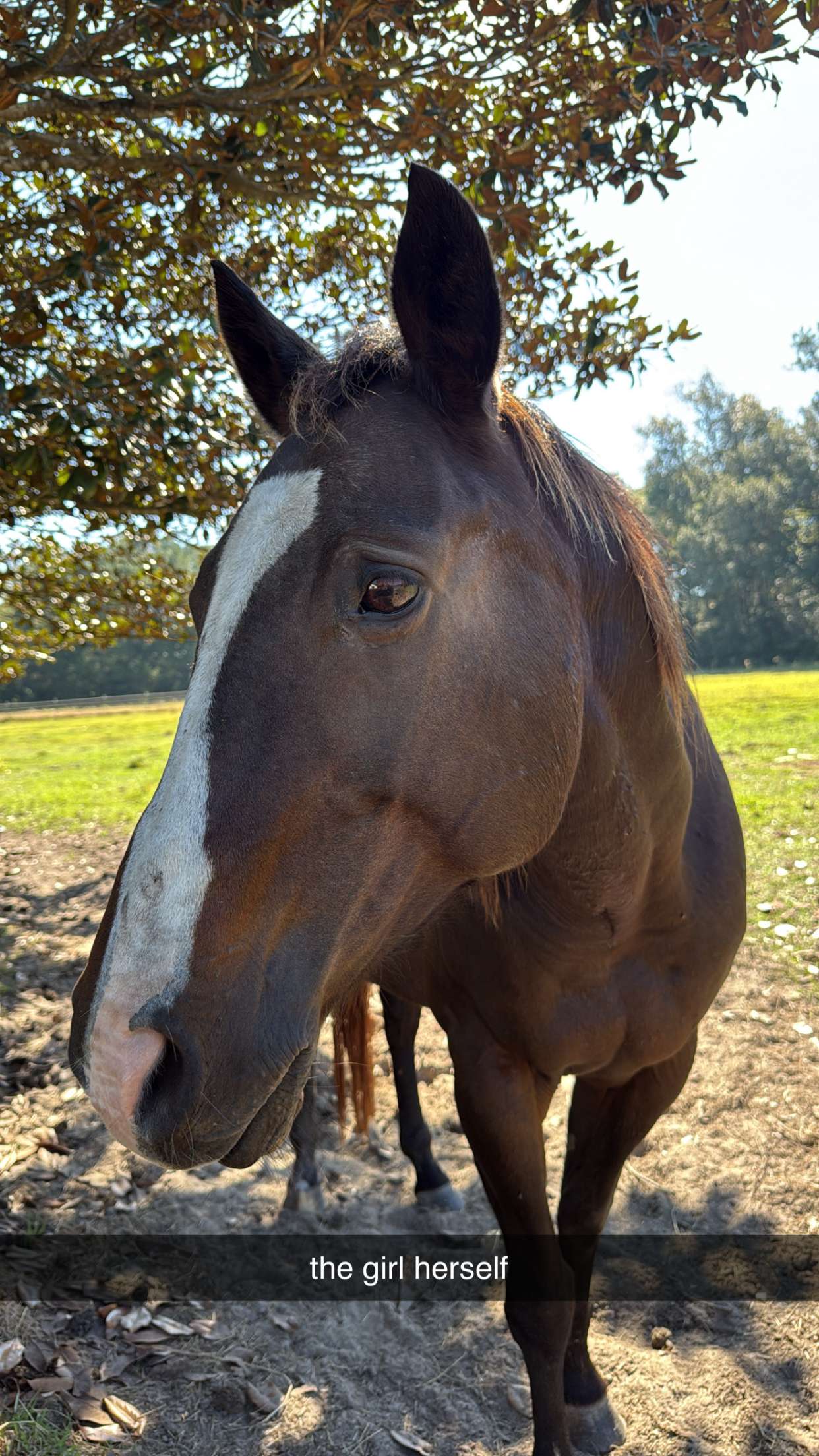 mckinley_1 snapchat image archive image