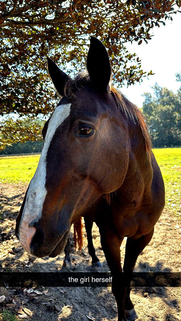 mckinley_1 image ~ Altpins