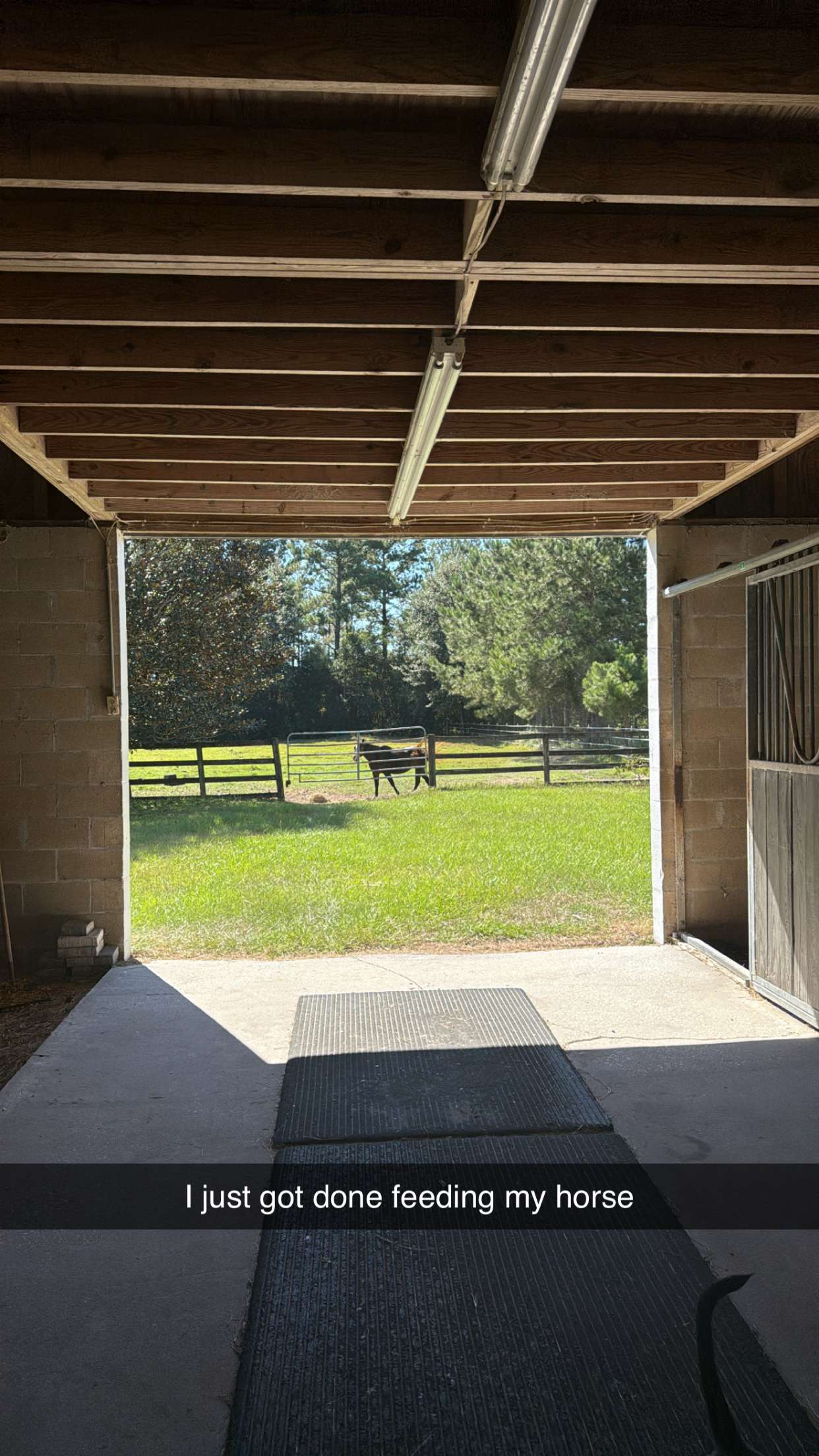 mckinley_1 snapchat image archive image