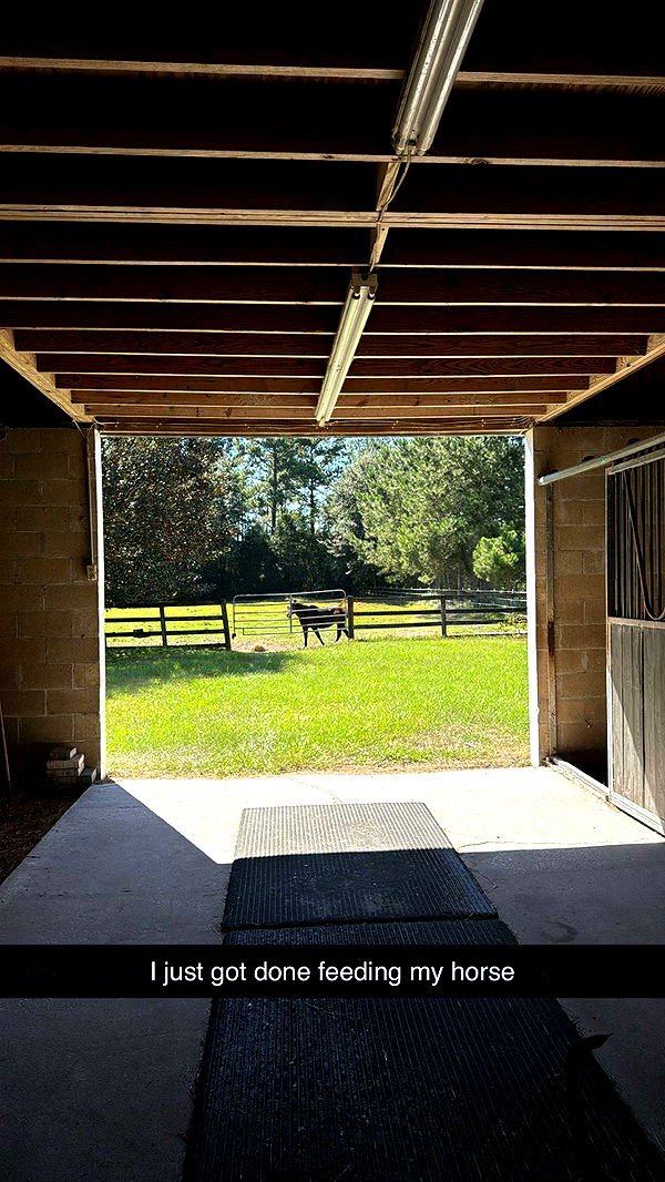 mckinley_1 image ~ Altpins