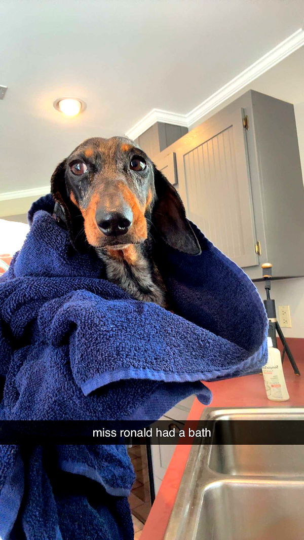 mckinley_1 image ~ Altpins