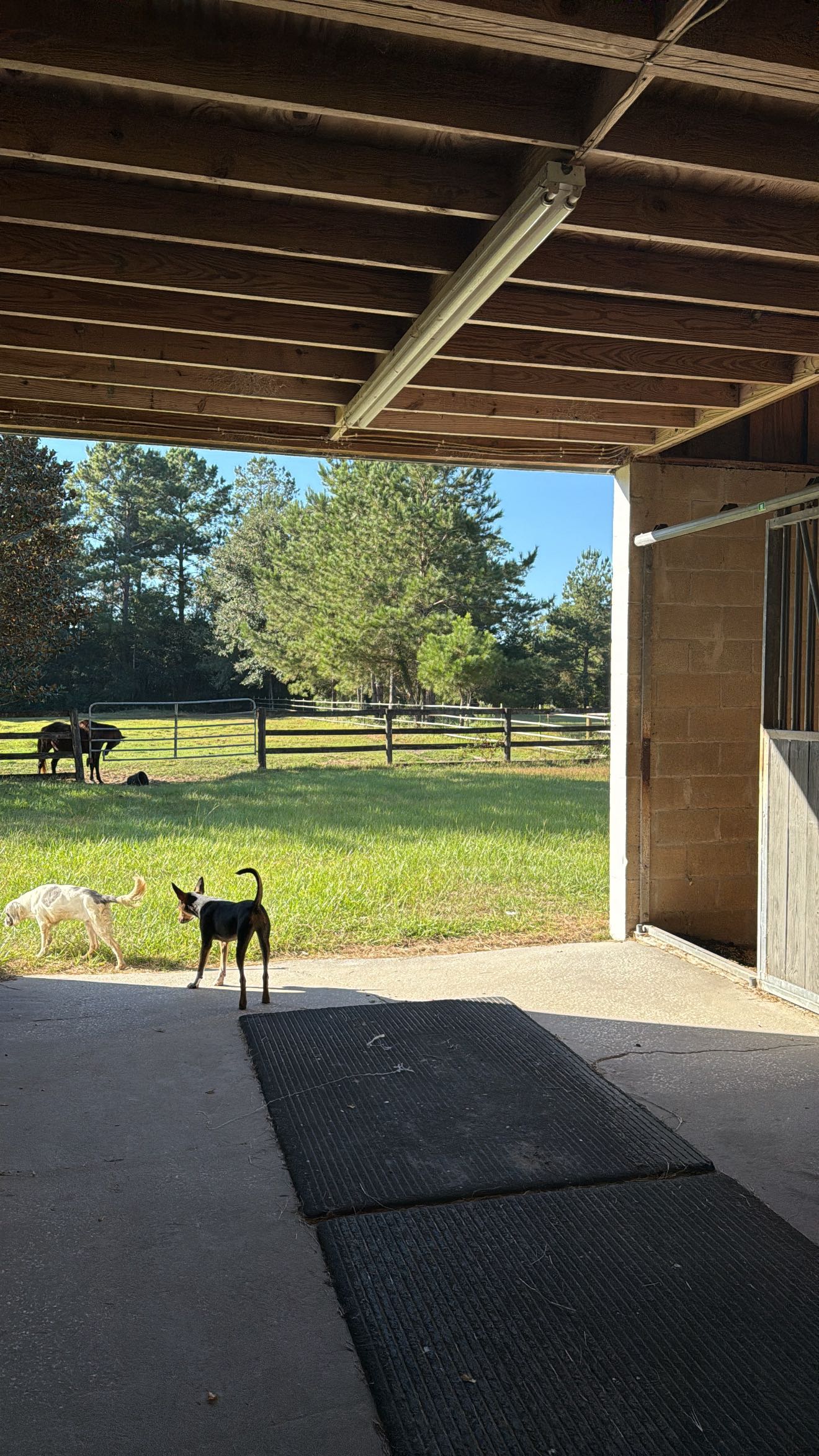 mckinley_1 snapchat image archive image