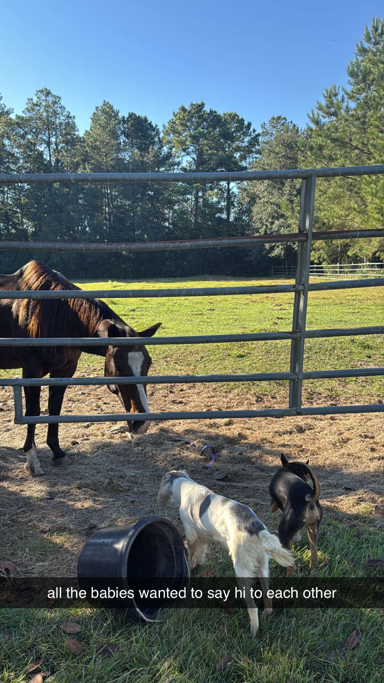 mckinley_1 snapchat image archive image