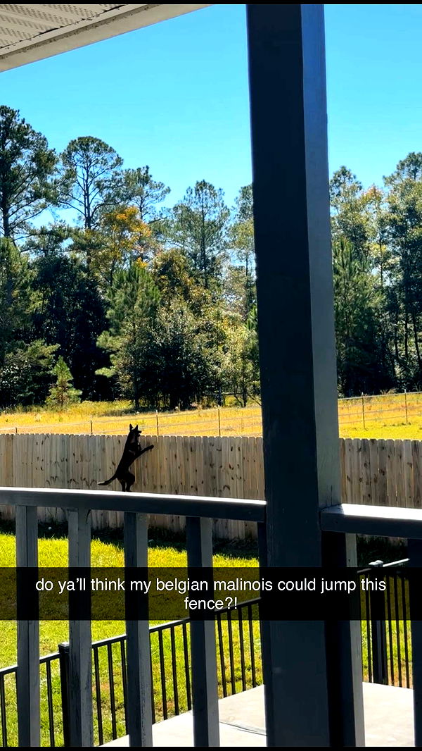 mckinley_1 image ~ Altpins