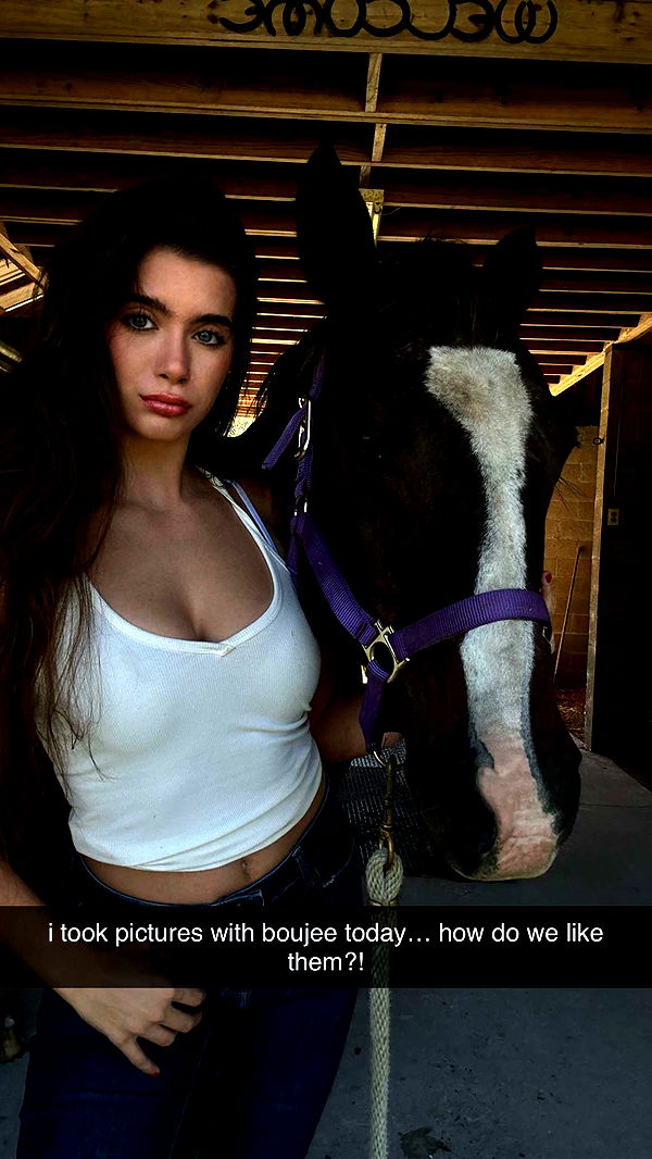 mckinley_1 image ~ Altpins