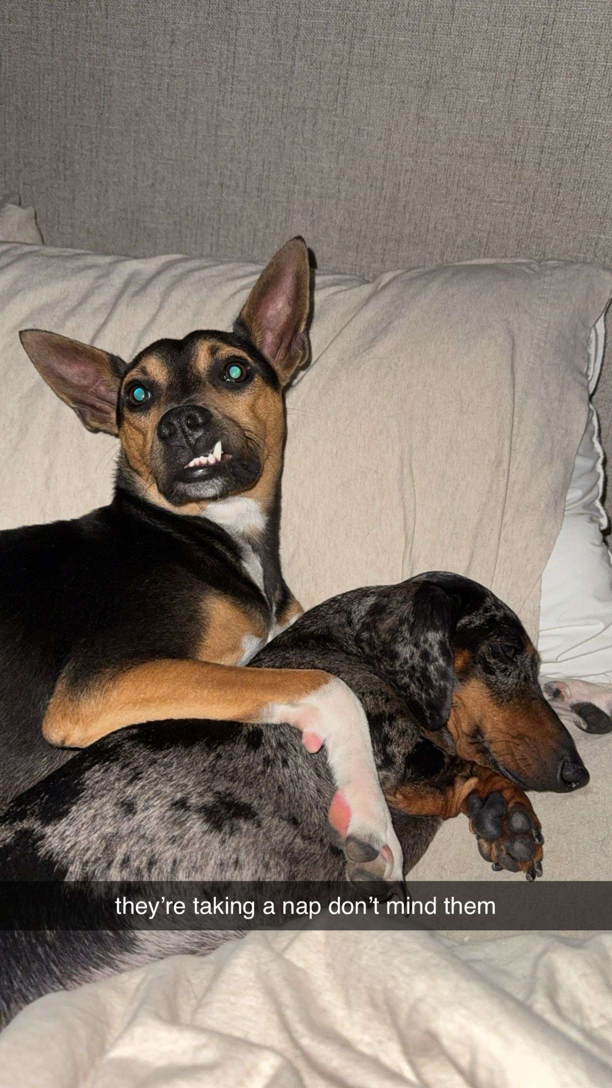 mckinley_1 snapchat image archive image