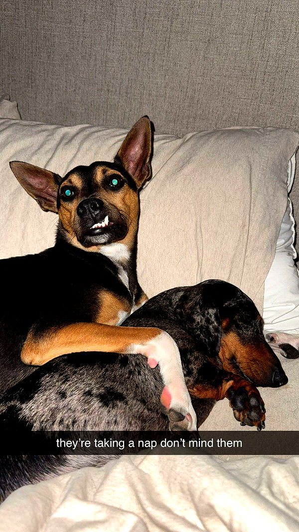 mckinley_1 image ~ Altpins