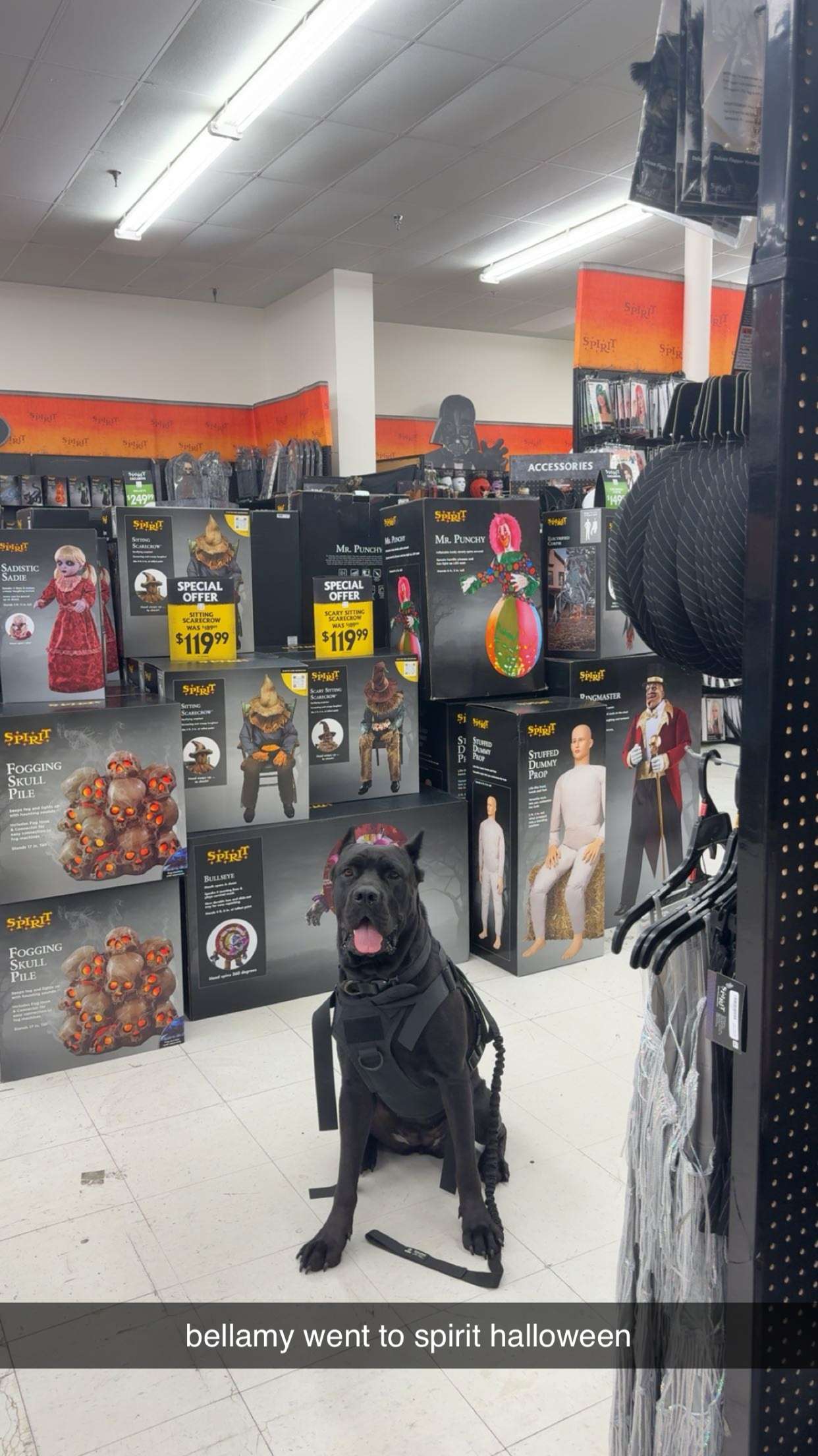 mckinley_1 snapchat image archive image