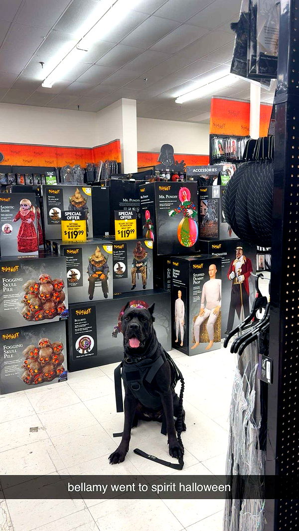 mckinley_1 image ~ Altpins