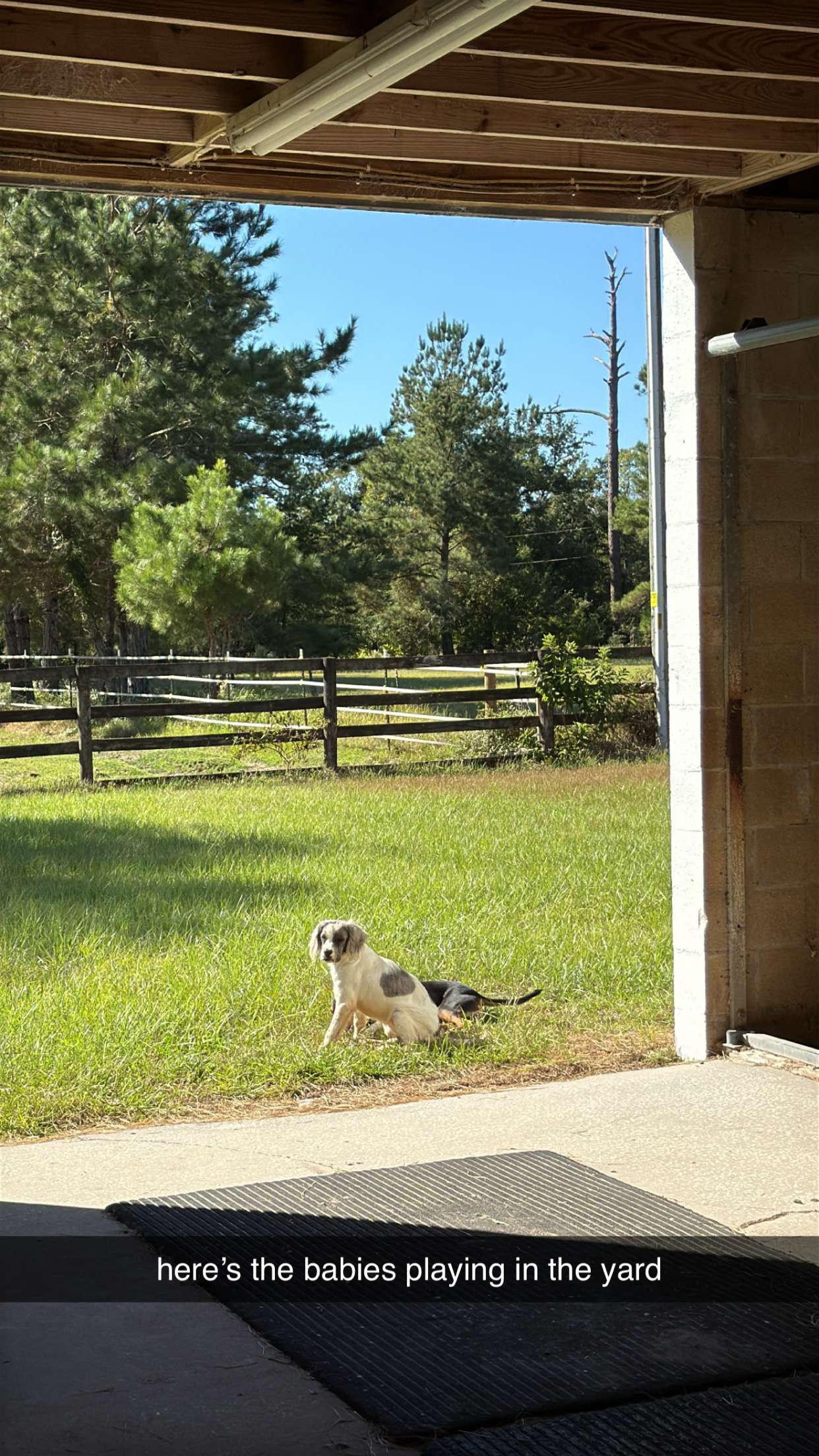 mckinley_1 snapchat image archive image